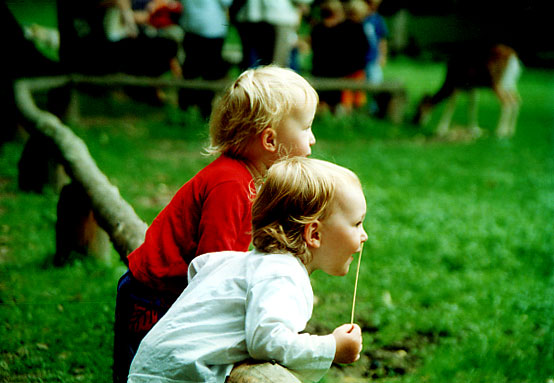 Zoe-und-Chiara-im-Tierpark